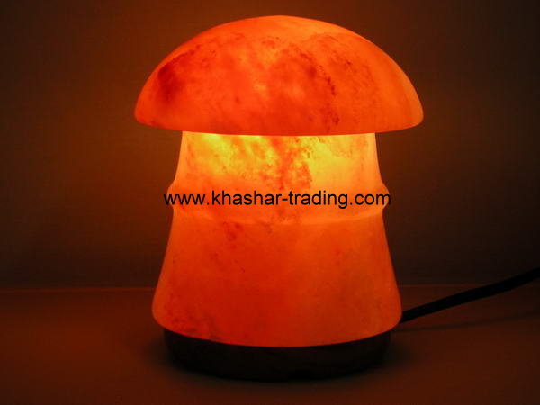 Mushroom Salt Lamp