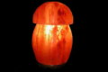 Mushroom Salt Lamp MSL-03